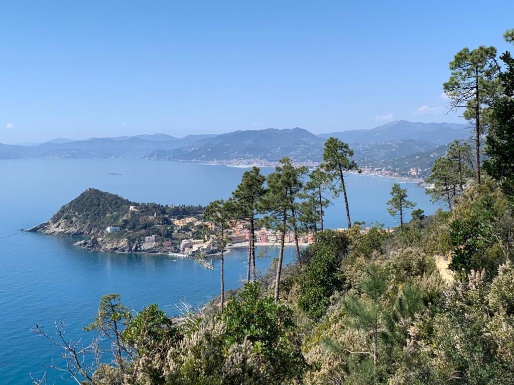 הוילה ססטרי לבאנטה La Pergola Dei Paggi מראה חיצוני תמונה