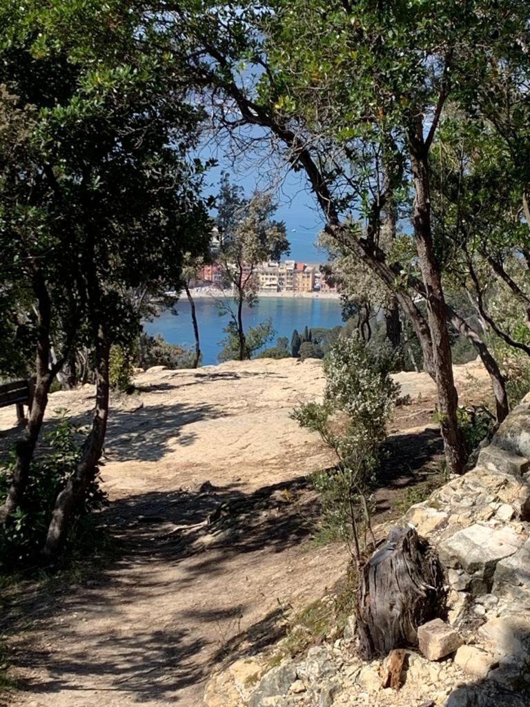 הוילה ססטרי לבאנטה La Pergola Dei Paggi מראה חיצוני תמונה