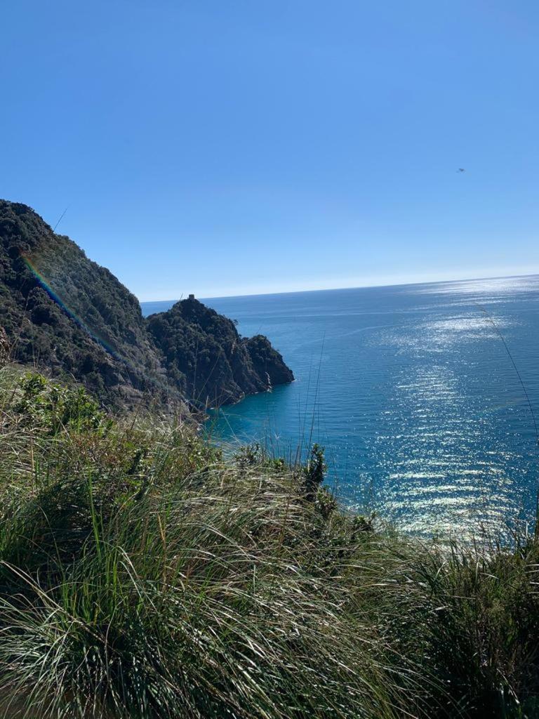 הוילה ססטרי לבאנטה La Pergola Dei Paggi מראה חיצוני תמונה