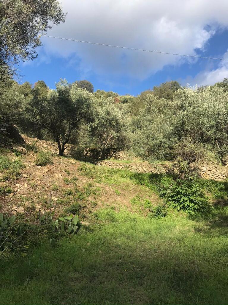 הוילה ססטרי לבאנטה La Pergola Dei Paggi מראה חיצוני תמונה