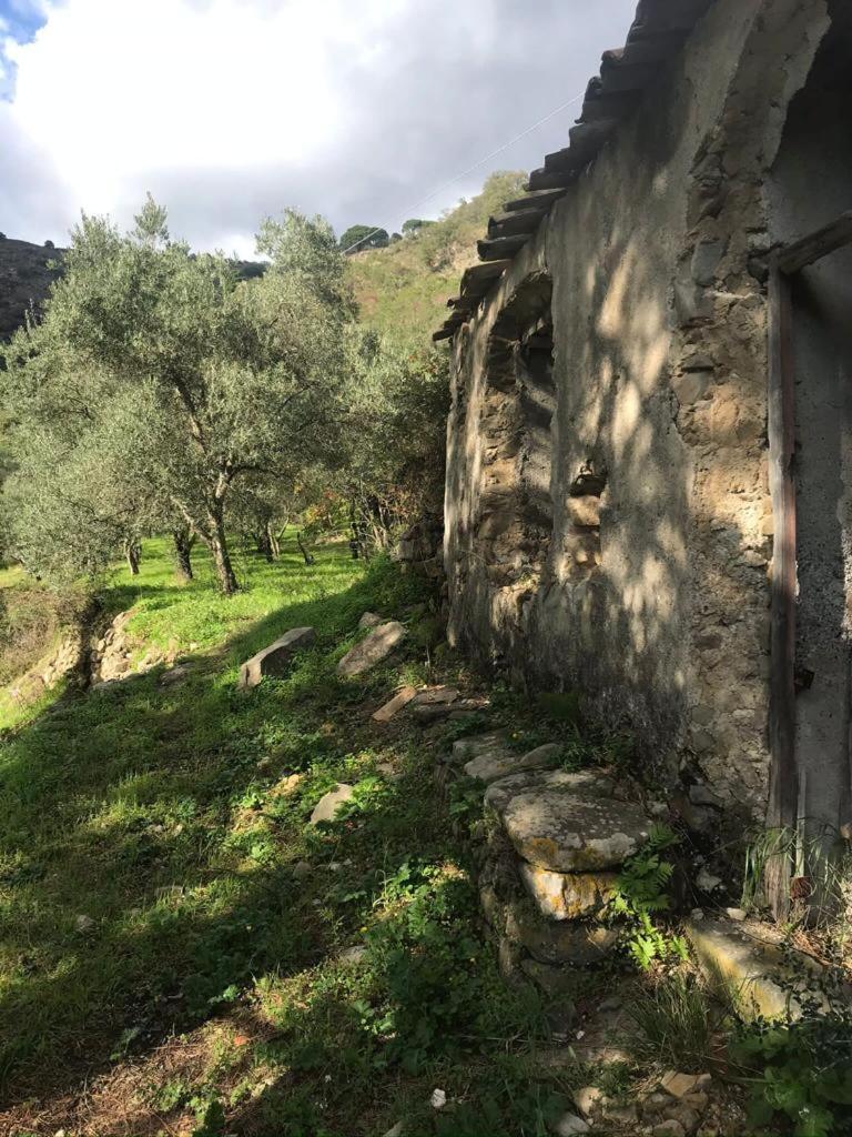 הוילה ססטרי לבאנטה La Pergola Dei Paggi מראה חיצוני תמונה
